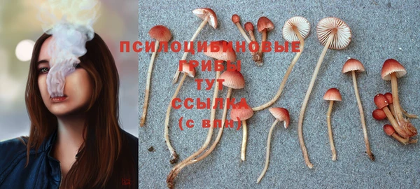 MESCALINE Алзамай